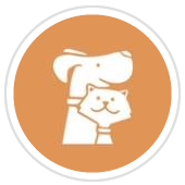 pet friendly